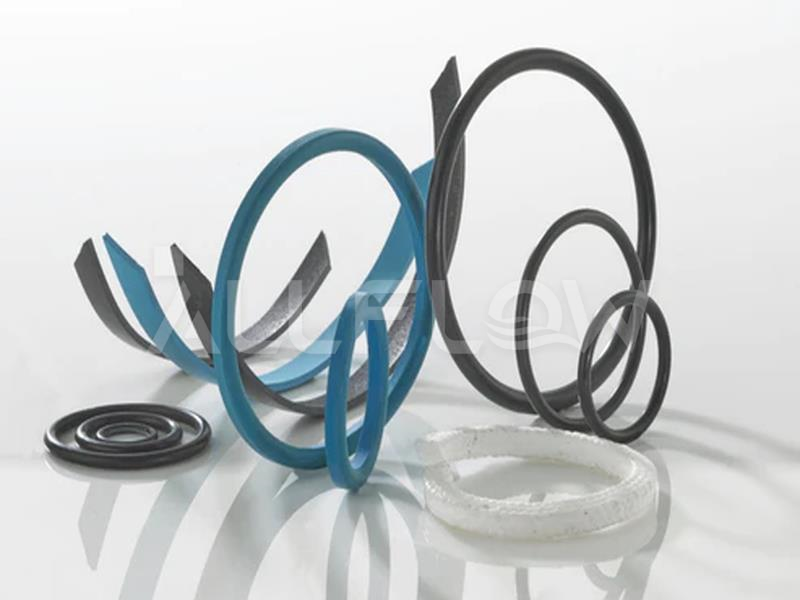 O-Rings